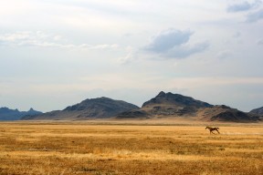 kaiyun网站-新闻中心展示创新产品成果，创新成果展示 展板