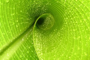 KAIYUNAPP-世界杯燃爆全场：激情、荣耀、奇迹！，世界杯超燃视频