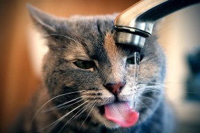 开云平台-中超主力球员伤病恢复期数据研究，中超恢复主客场