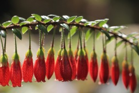 开云·体育官网APP下载-赛事周边文创产品成为新兴增长点，文创周边策划