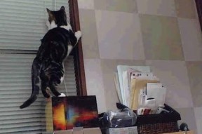 KAIYUN 中国大陆-中国足协拟引入VAR技术减少裁判争议提高公平性，中国足球var技术