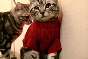 开云体育-国家体育总局启动冬奥推广体验车进校园活动，冬奥会项目学车