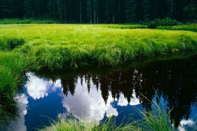 Kaiyun官方登录入口-突尼斯男篮在非洲锦标赛中再次夺冠，体育强国崛起