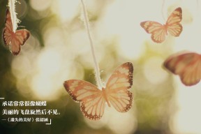 kaiyun官方网站-库策男子200米仰泳决赛表现亮眼，男子200米仰泳全国纪录