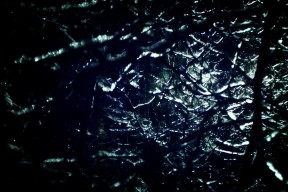 kaiyun官方入口登录-美国蝶泳力量！乌兰多表现值得称道，美国女子蝶泳选手