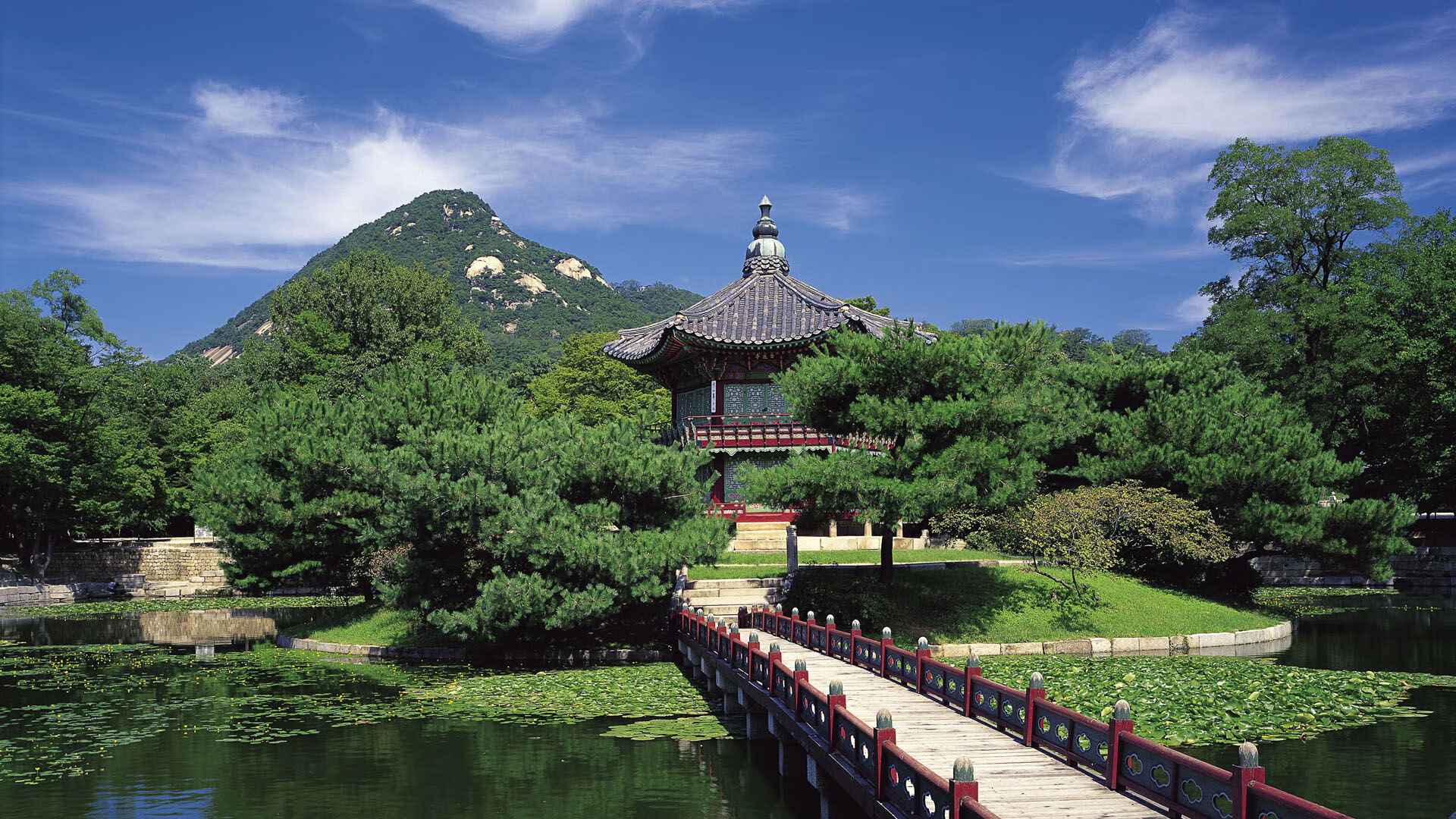 国足后防线组织结构稳定性趋势图,国足后防垃圾