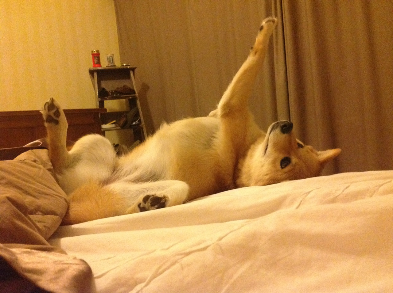 篮球运动员训练负荷监控与疲劳管理技术,篮球运动负荷设计教案