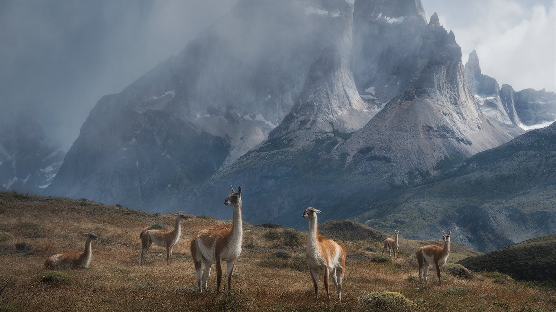 CBA球队发展本土教练提高执教水准,cba联赛教练
