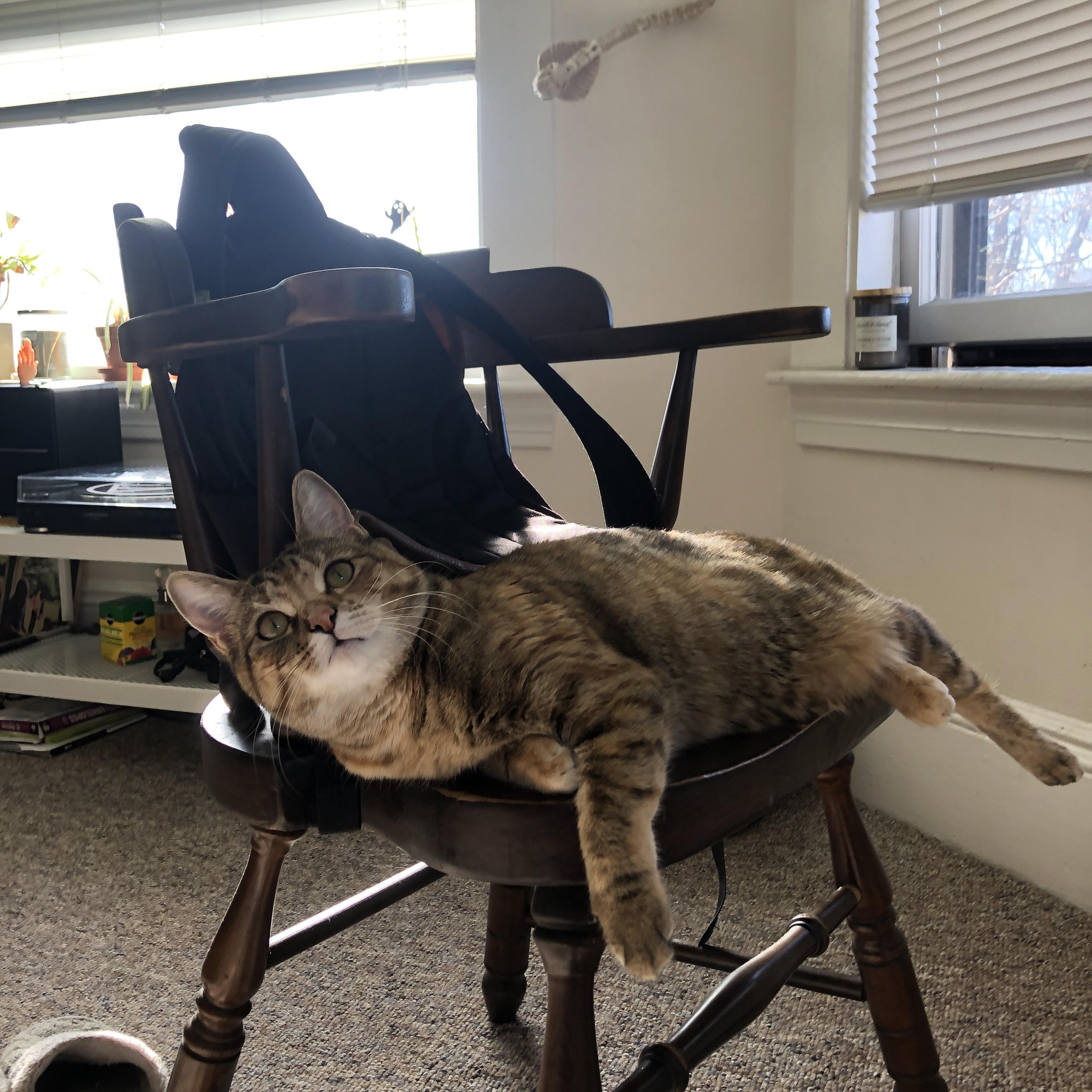 “SHO-CHAN Run 2025:跑者狂热,香港再掀赛事高潮”