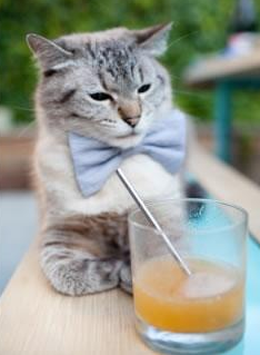 中国女篮打造快节奏防守反击核心战术,中国女篮战术分析