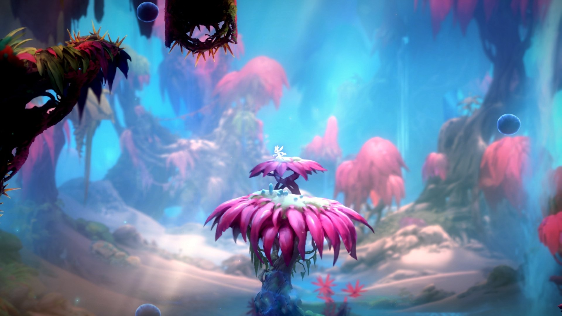 中国女篮打造快节奏防守反击核心战术,中国女篮战术分析