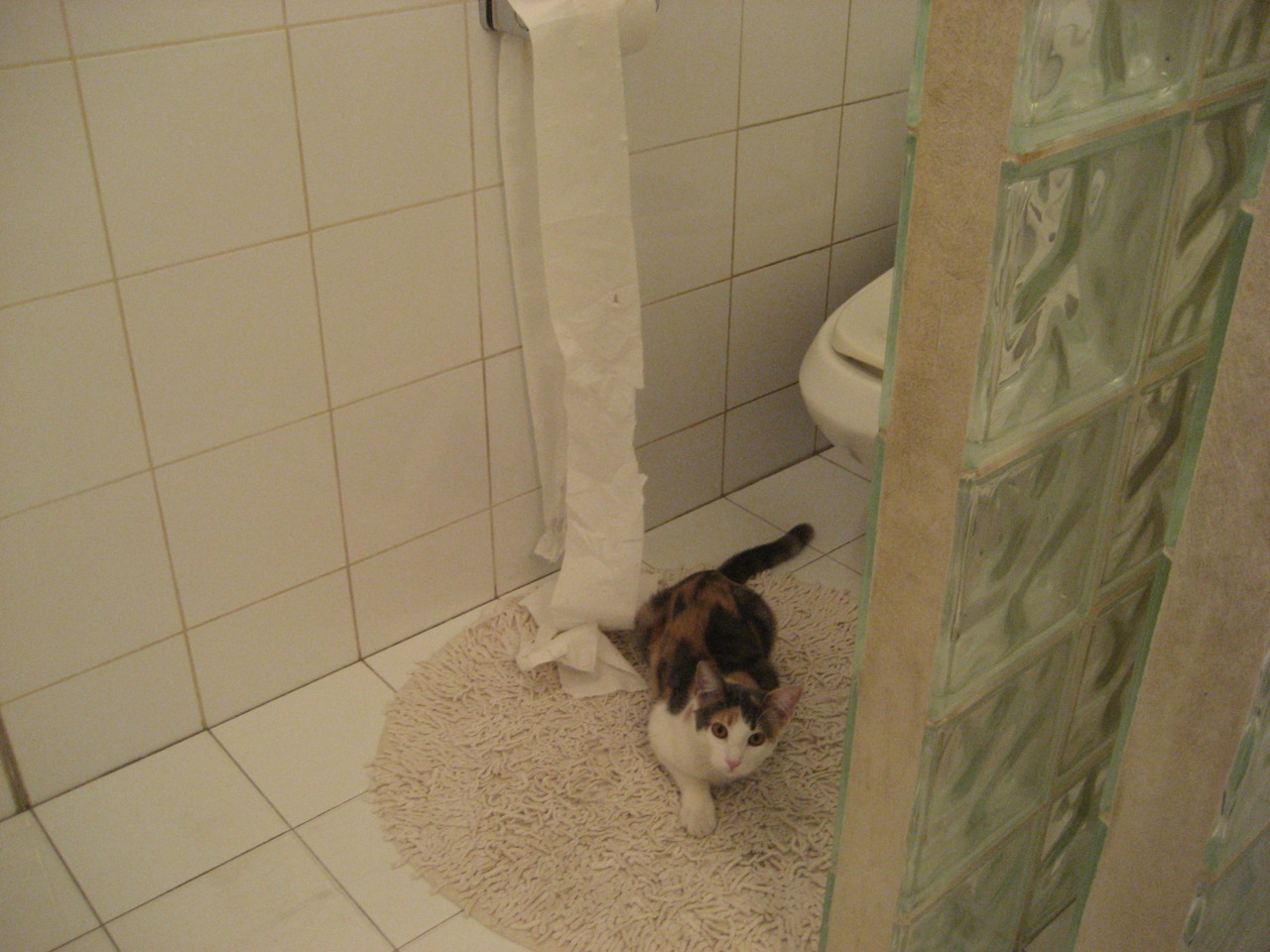 主教练临场调度能力综合评分,教练员临场可调整机会等级最弱的项目