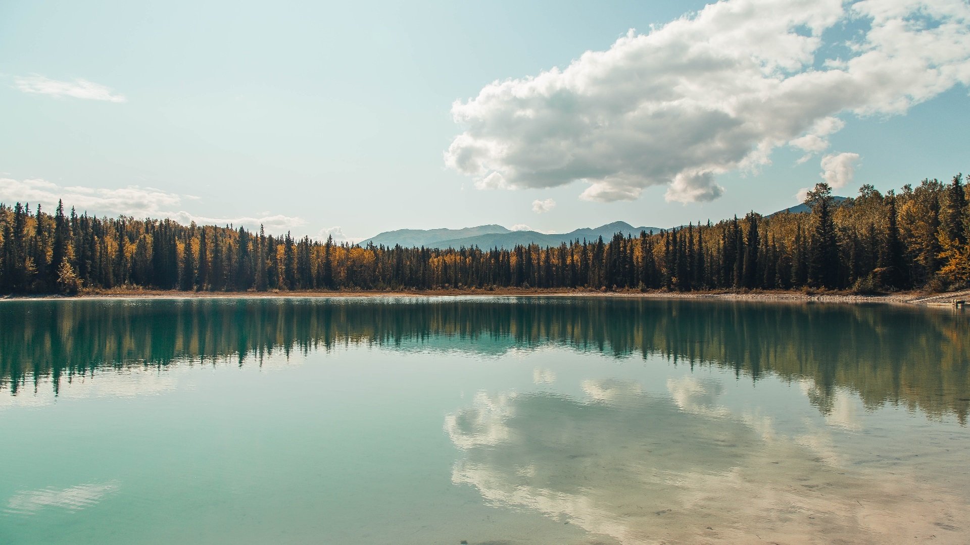 季中体测与训练负荷控制是否决定下半程表现,体育训练课运动负荷分析报告