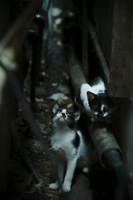 换帅后球队场均失球数据是否有显著变化,足球换帅