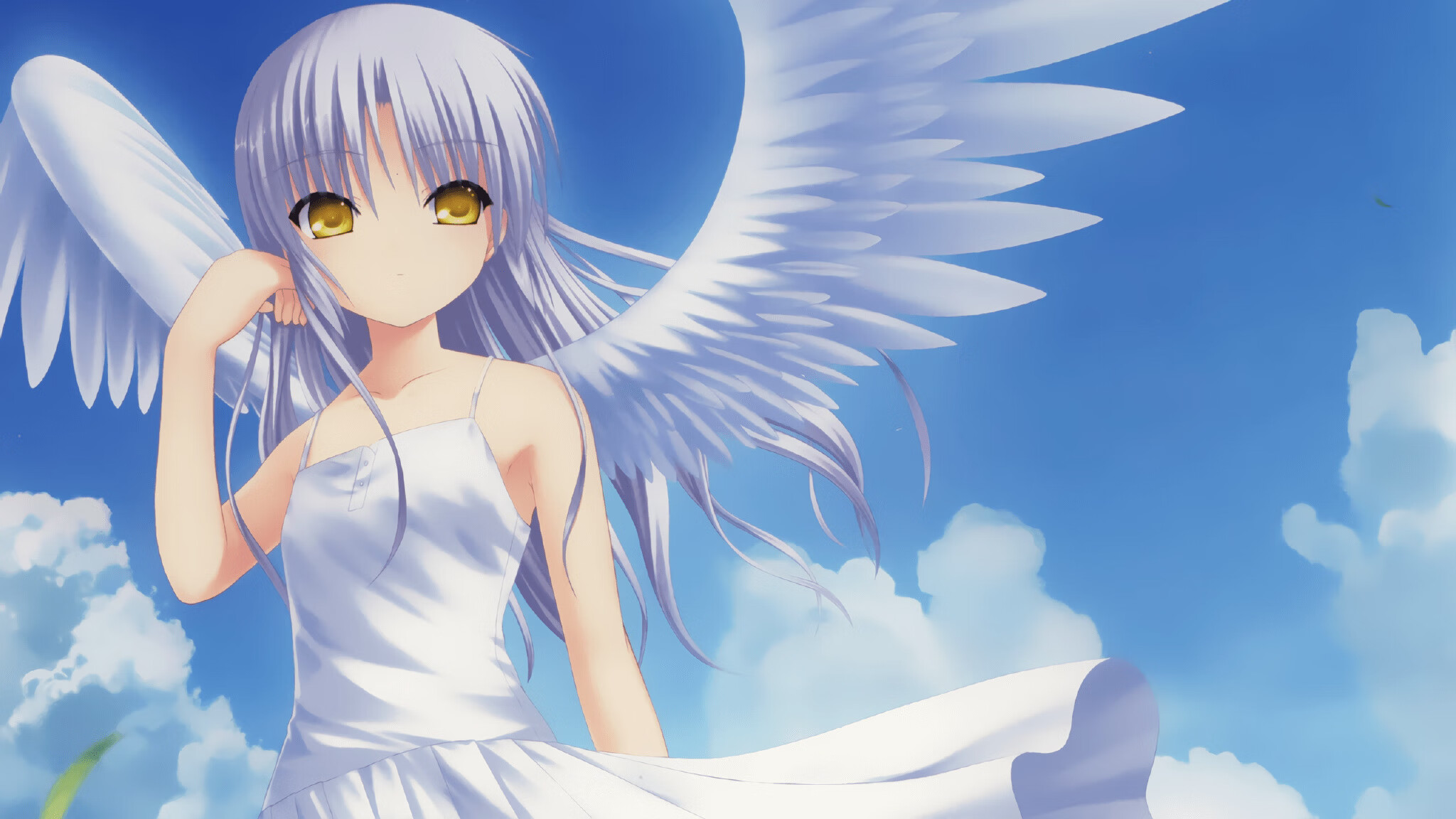 教练培训系统开设在线实践课程模块,教练员培训实践课教案