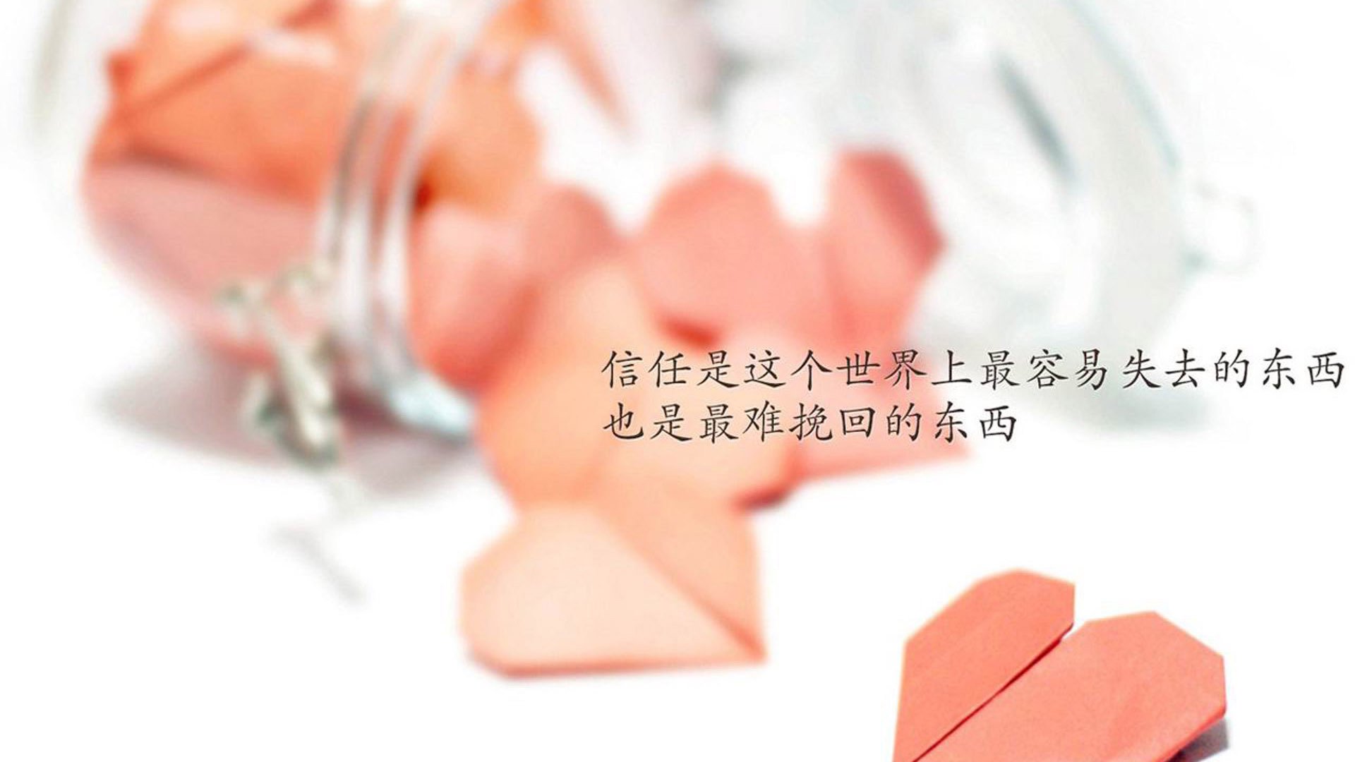 球迷打卡最热门的球馆推荐,球馆品牌