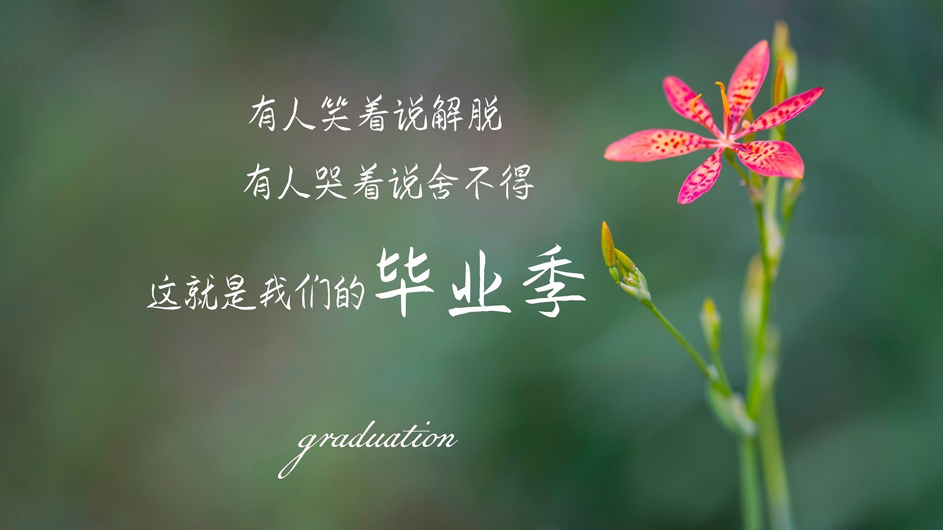 田径队伤病恢复进展良好,田径运动员伤病