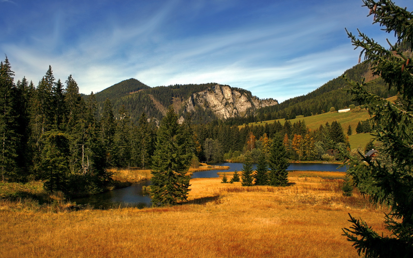 青年运动员职业规划咨询机制成型,运动员未来规划
