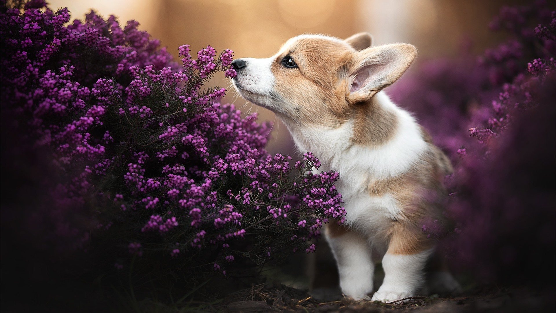 C罗本赛季已完成十次助攻,c罗生涯助攻数据统计