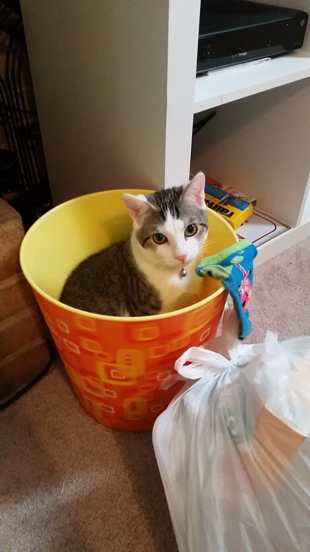 丁俊晖完成绝杀瞬间斯诺克世锦赛，丁俊晖斯诺克世锦赛赛程