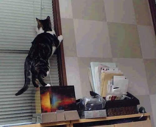 中国足协拟引入VAR技术减少裁判争议提高公平性，中国足球var技术