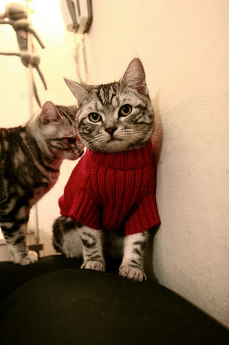 国家体育总局启动冬奥推广体验车进校园活动，冬奥会项目学车