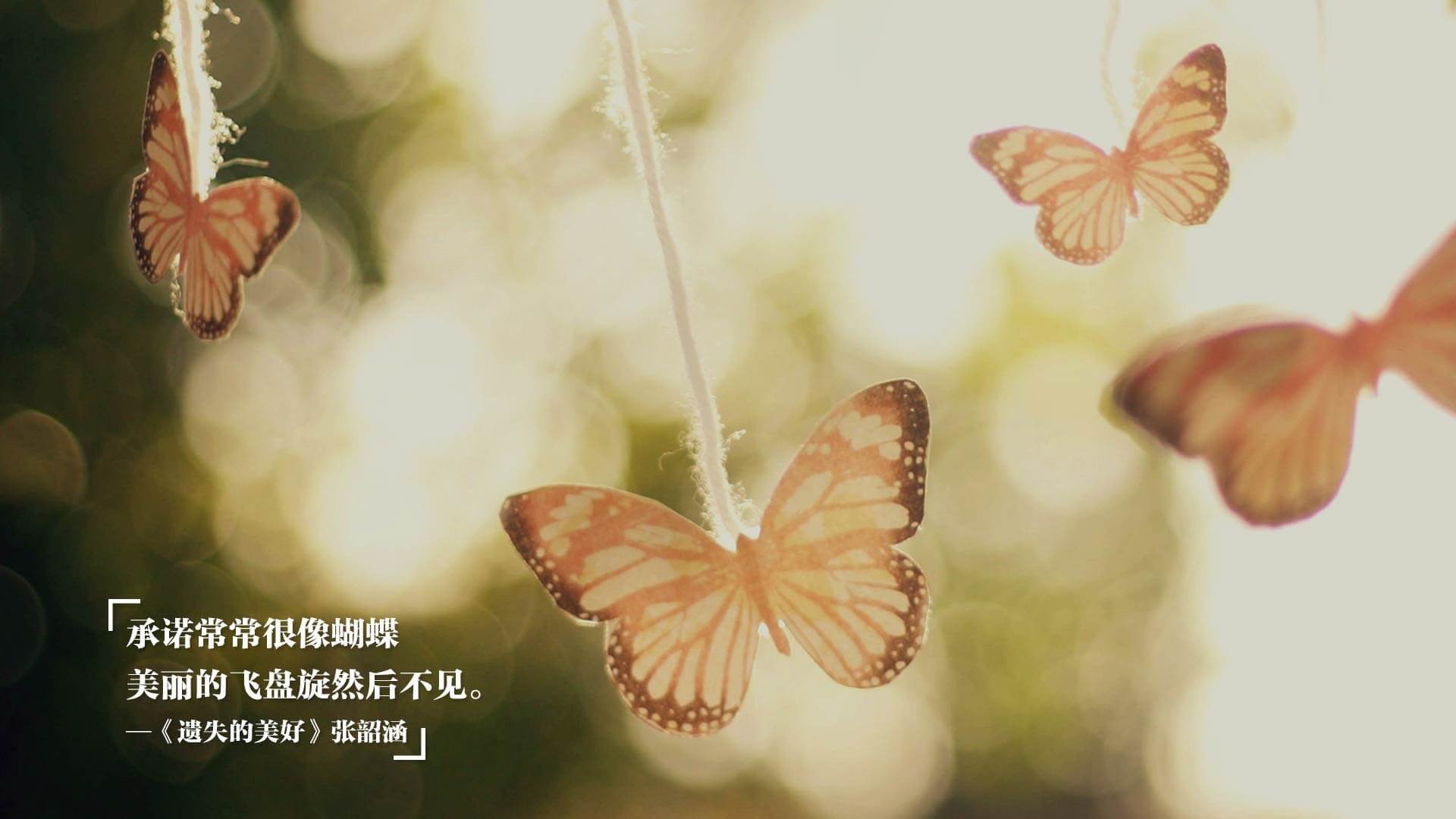 库策男子200米仰泳决赛表现亮眼,男子200米仰泳全国纪录