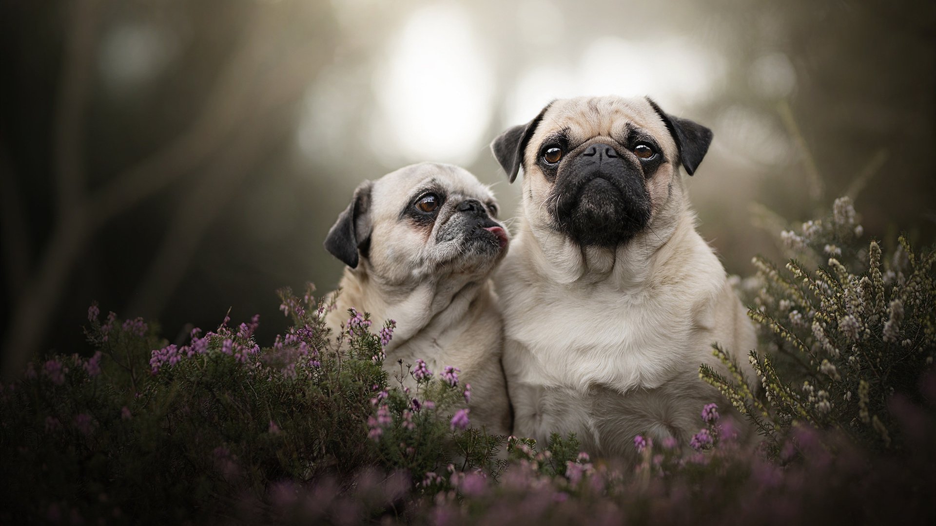 篮球馆智能门禁系统上线提升训练安全与人员流动监管,篮球馆管理系统