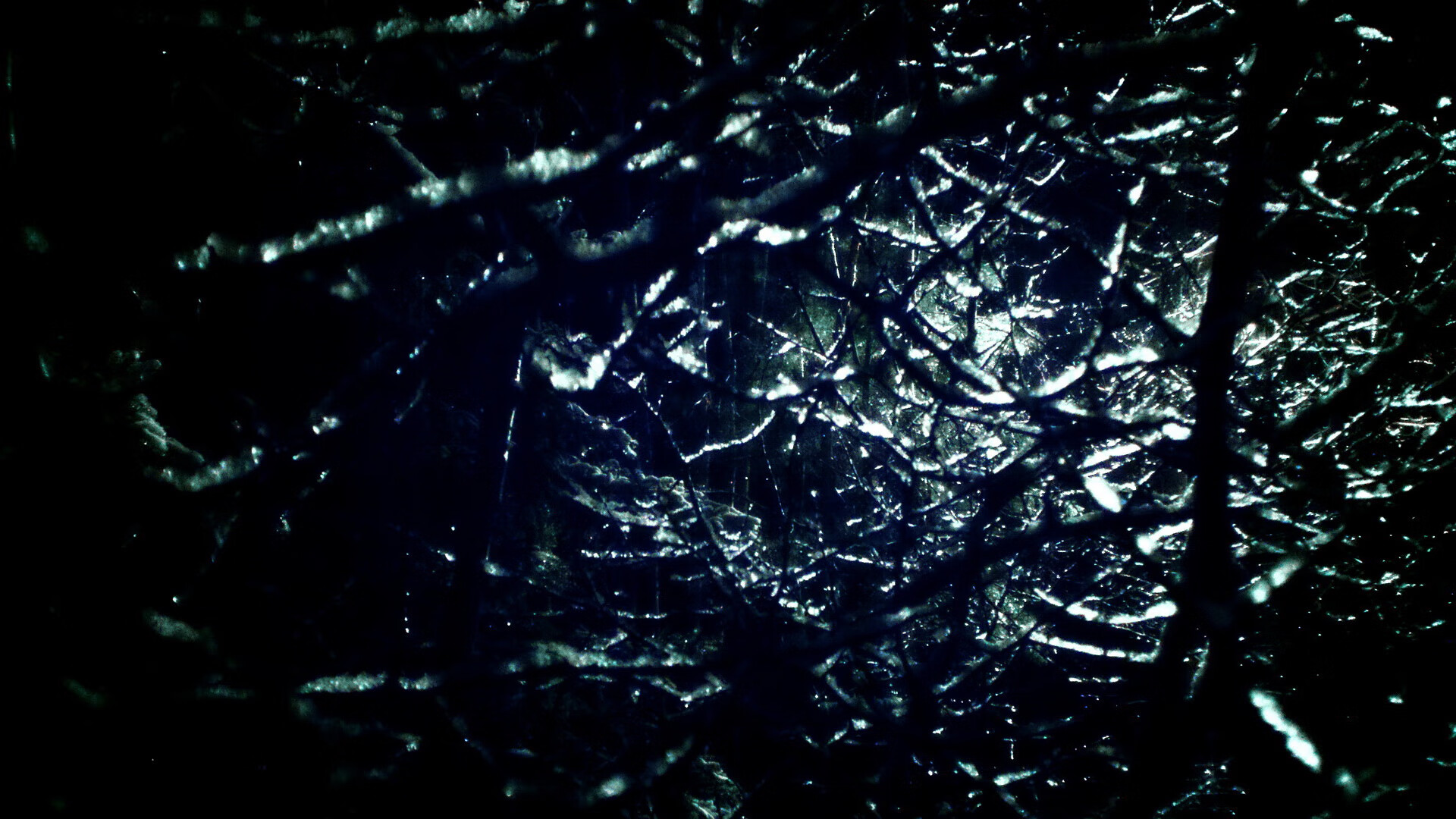 美国蝶泳力量！乌兰多表现值得称道，美国女子蝶泳选手