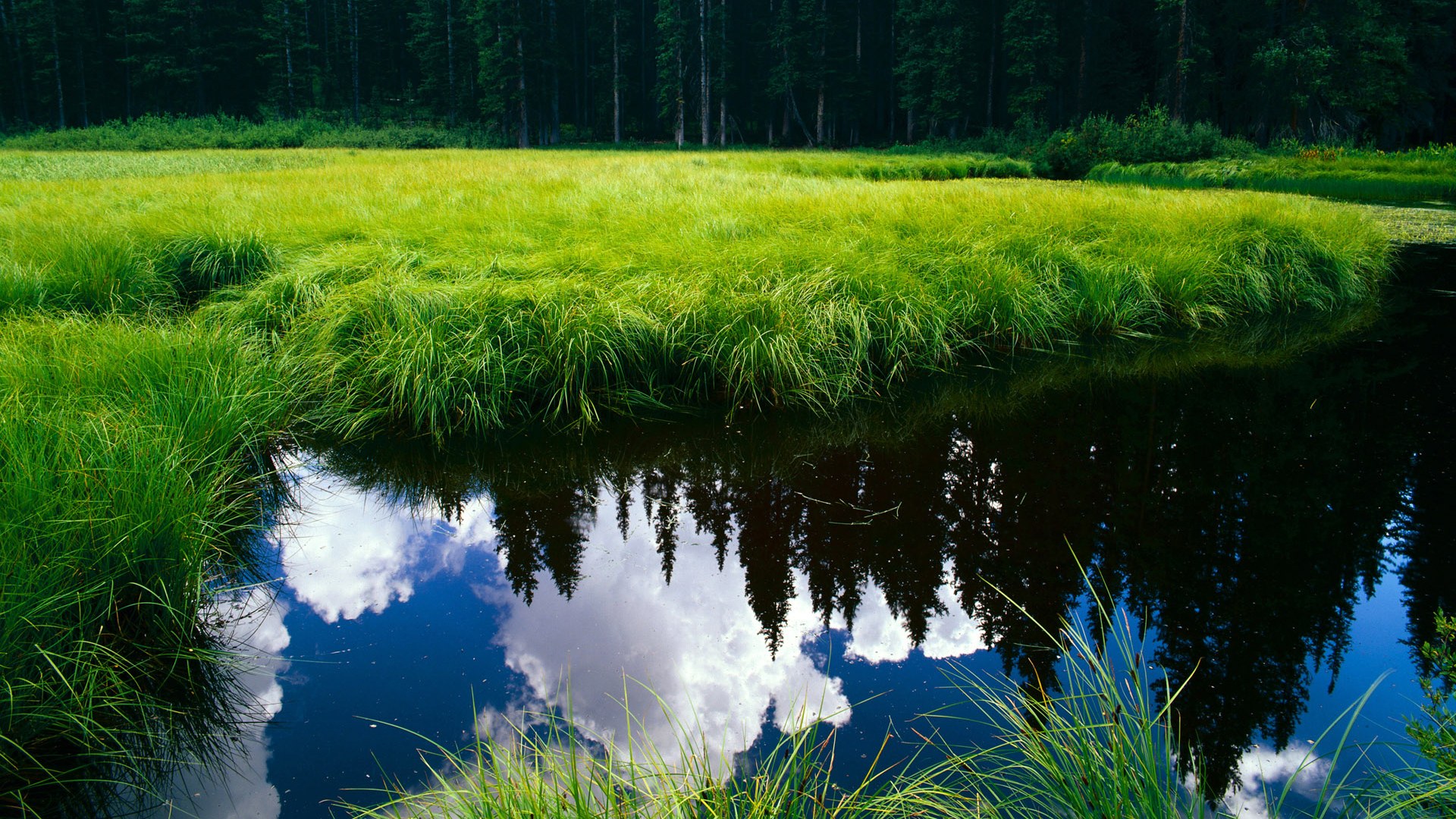 美洲杯明星尽显风采:精彩突破不停!,美洲杯足球明星