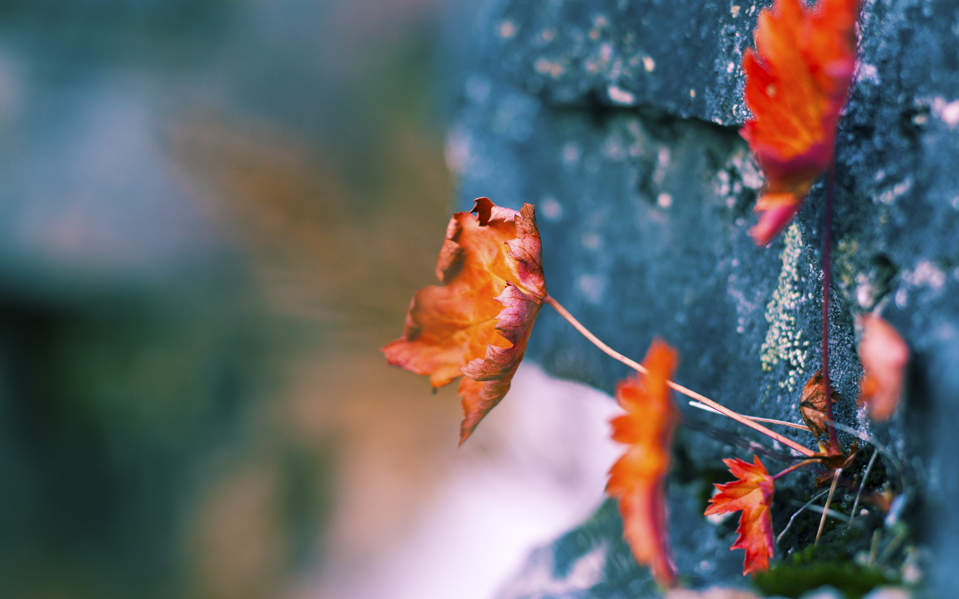 足协加强青少年培训制度推动一线队质量提升，青少年足球培训课程方案