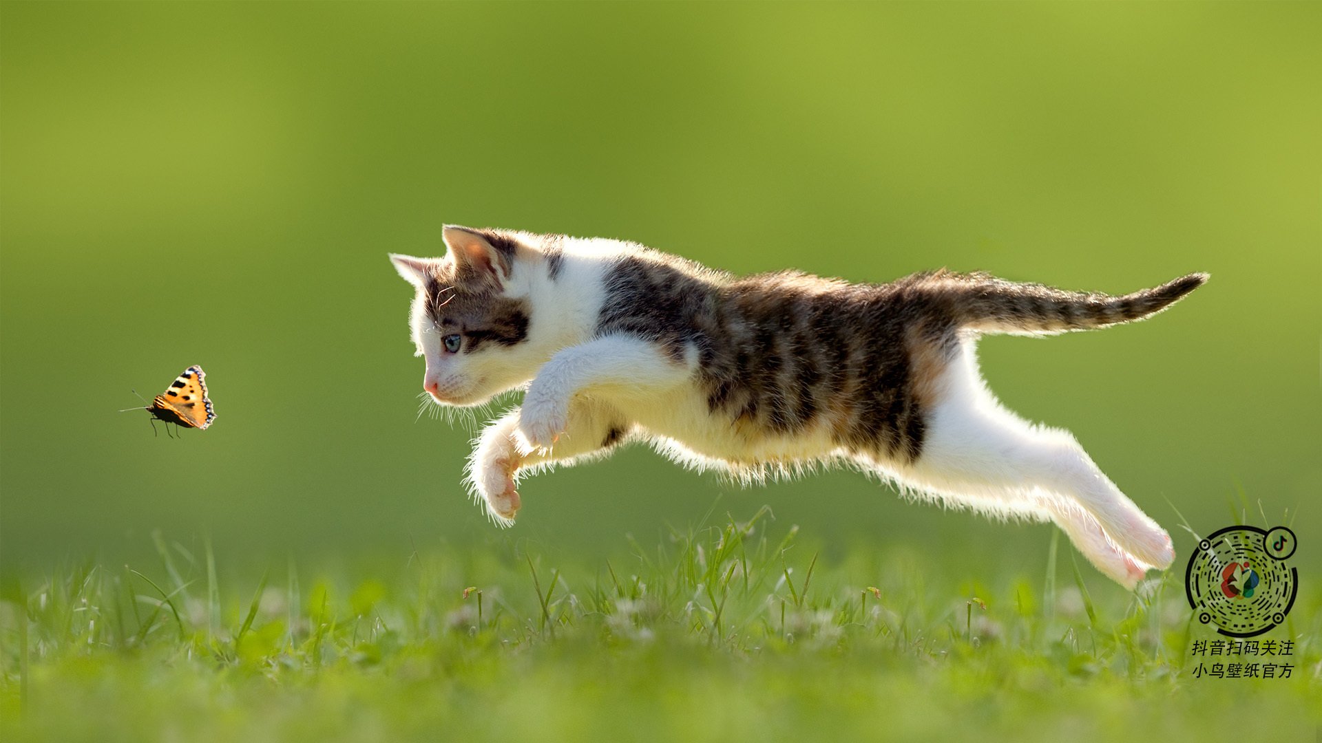 中国足球联赛中场广告干扰与观众观看体验研究，中国足球很强广告